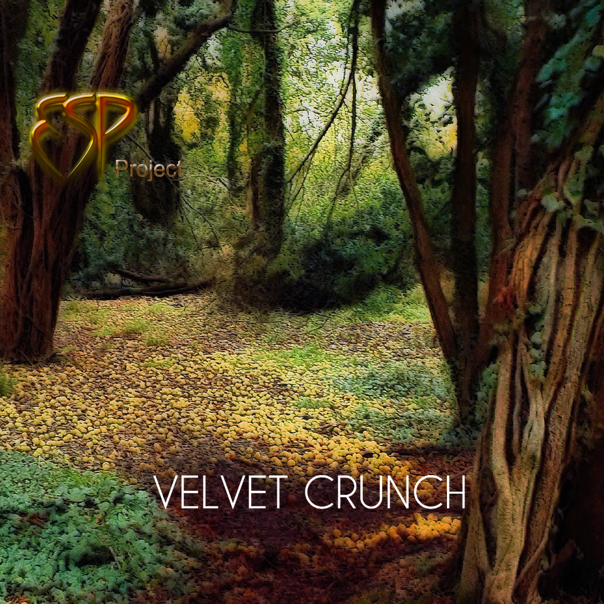 VELVET CRUNCH