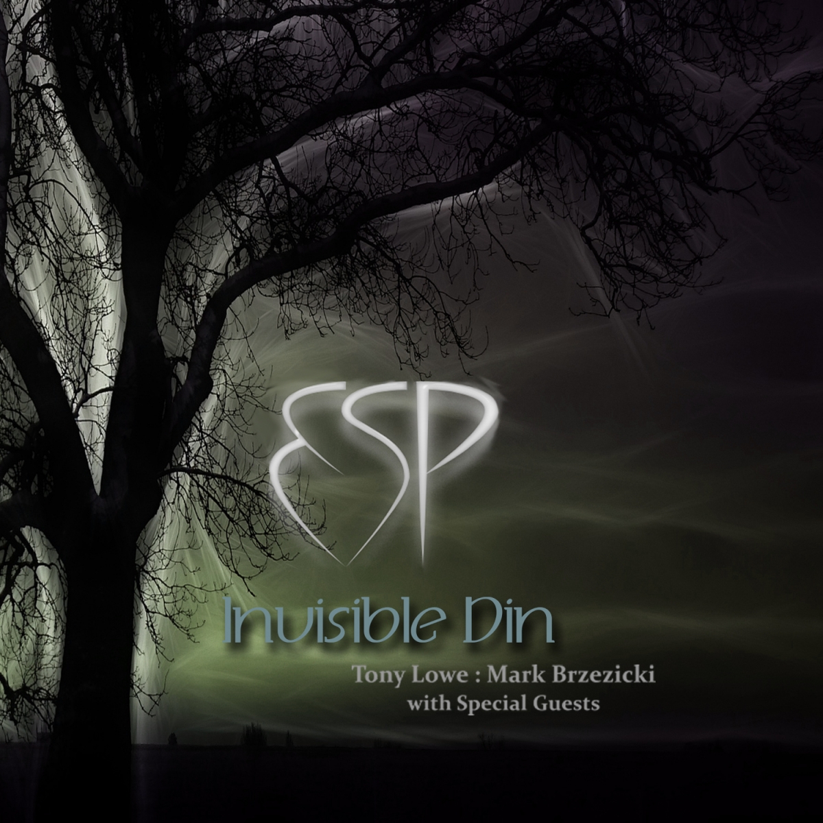 Lowe & Brzezicki's ESP - Invisible Din  - ESP Project - 2016